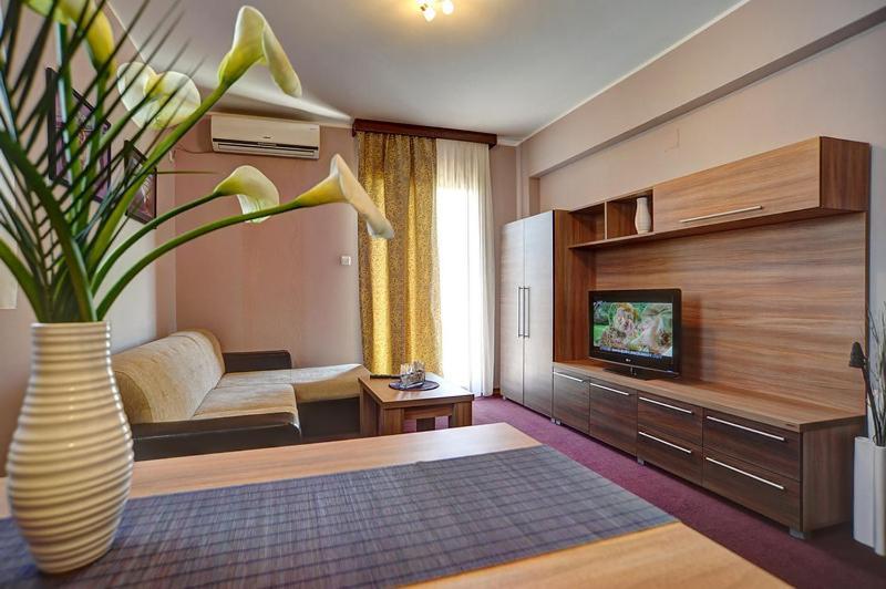 Solaris Resort Vrnjačka Banja Rum bild